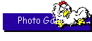 Photo Gallery