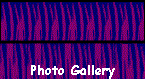 Photo Gallery