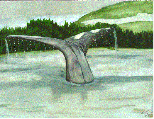 whale.gif (85305 bytes)